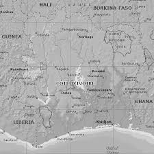 Image result for Ancistrorhynchus clandestinus