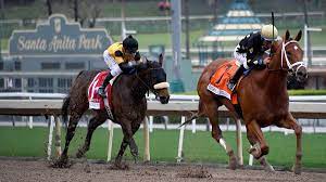 Premium picks everyday, for every race, for every track running in the united states. Santa Anita Horse Racing Picks Best Bets To Win How To Play The Pick 5 On Saturday May 16 The Action Network