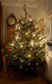 Christmas Tree 10 Beautiful Christmas Trees Winter Christmas Christmas Lights
