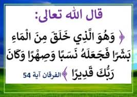 آيات وأقوال عن أهمية الماء قيمة الماء دور الماء في الحياة موقع مدرستي
