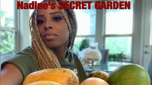 Pineapple Pleasure Mango