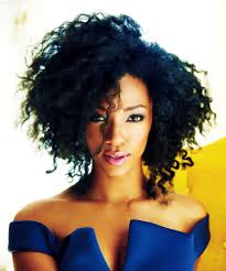She is best known for her television roles as michael burnham, the main ch. Sonequa Martin Green Height And Weight Stats Pk Baseline How Celebs Get Skinny And Other Celebrity News