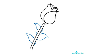 This drawing lesson will walk you step by step through the drawing techniques you will need to create your own rose pencil drawings. How To Draw A Rose Easy Step By Step Guide In 2021 Rose Drawing Simple Easy Drawing Steps Roses Drawing