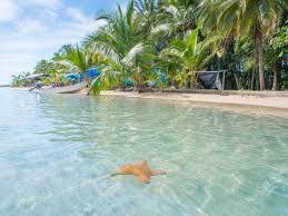 Panamanian waters host an incredible array of diving possibilities almost unknown to many diving enthusiasts. Beach In Bocas Del Toro Panama Central America Stock Photo Picture And Royalty Free Image Image 52479013