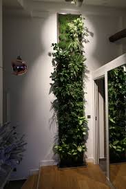 Mur Vegetal Interieur En 2020 Mur Vegetal Interieur Mur Vegetal Mur Vegetalise