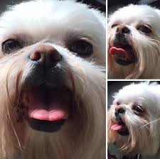 Just saying hello, happy Tuesday, and thank you to all my fans for the  continued love. I'm forever grateful. ❤️