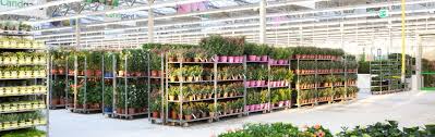 Wir ihre partner in sachen grünes. Landgard Cash Carry Magdeburg