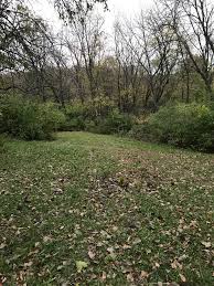 Picking the right varieties of fruit trees is an important step in establishing a backyard orchard in iowa. All American Tree Service Llc Southeast Iowa After Row Of Fruit Trees Facebook