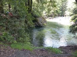If you have a bus conversion, long trailer or fifth wheel and are looking for a rv park or campground with sites that will fit your rig this may be a suitable location. Big Sur Campground And Cabins Review Family Road Trip Guru Kid Friendly Travel Ideas