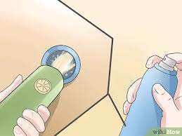 Common infestations in the home from ants to black mould and how to get rid of them. How To Get Rid Of Black Widow Spiders With Pictures Wikihow