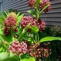 Dean Sheldon (deansheldon)