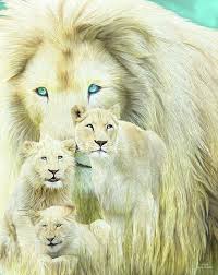 A bright white male lion with a slightly shorter than normal mane for paradigmlion ! Carol Cavalaris Mixed Media White Lion Family Forever By Carol Cavalaris Lion Family Big Cats Art White Lion