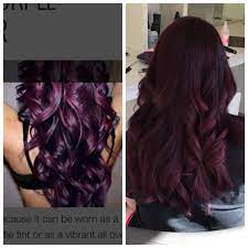 Inspired Color Goldwell Color Goal Color Purple Hair Violet Hair Bree Salon Burgundy Hair Hair Styles Hair
