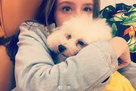 Không phải "Bánh bao" Triệu Lệ Dĩnh, đây mới là mỹ nhân nóng bỏng khiến  Trần Vỹ Đình say đắm?