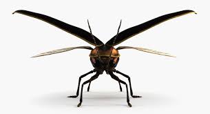 3d Model Firefly Bug Insect Wing Light Luminous Luciolle Glowing Glow Beetle Flying Bugwing Glowworm 3d Model 3 3d Model Firefly Lights Model