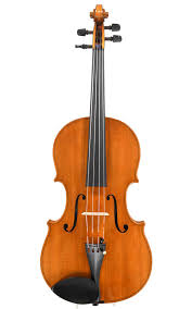 Image result for Viola eminii