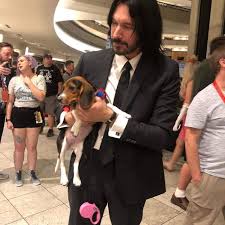 john wick finds a new puppy funny animal memes animal memes cute beagles