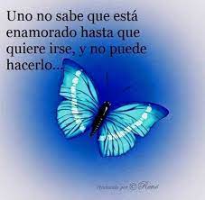 Pin De Mariangel Castillo En Pensamientos Frases Frases Bonitas Frases Bonitas De Amor