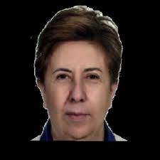 What are the theoretical foundations for the pedagogical use of technology  in education?