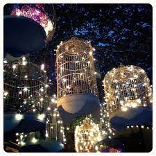 Pin By Tuna Daily On For The Home Bird Cage Decor Fairy Lights Bird Cages