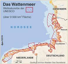 Bitte klicken sie auf buchung, um den preis zu berechnen. Wattenmeer Sensibles Okosystem Und Beliebtes Reiseziel Bilder Rhein Zeitung