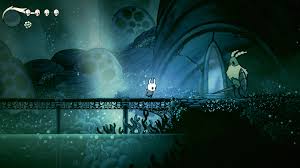 Image result for hollow knight