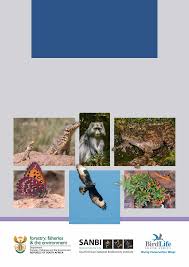 Image result for Nesaea passerinoides