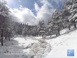 2325 s woodlands vlg blvd. 9 Things To Do This Winter In Flagstaff Arizona Top Ten Travel Blog