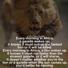 When The Sun Comes Up You Better Be Running Quote Qotd Instagram Photos And Videos Chase Your Dreams How To Run Faster Dreaming Of You