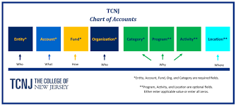 Chart Of Accounts Cloud Project