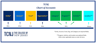 chart of accounts cloud project