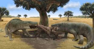 Image result for Megaloprotachne