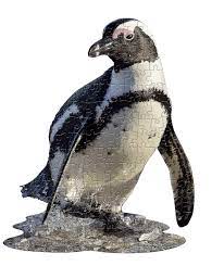 Madd capp puzzles are fun, inspiring, challenging, educational and entertaining jigsaw puzzles for kids and adults that bring people together. Madd Capp Puzzles Jr I Am Lil Penguin 100 Pieces Animal Shaped Jigsaw Puzzle Buy Online In Dominica At Dominica Desertcart Com Productid 91093926