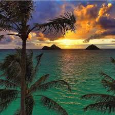 5.0 out of 5 stars. Hawaiian Islands Home Facebook