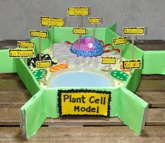 Constructing a 3d model of a plant cell is an excellent way to familiarize. Eukaryotes Plant Cell Model Using Recycled Materials Cell Model Plant Cell Model Plant Cell
