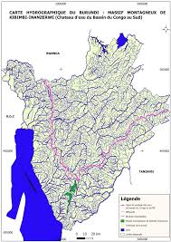 Image result for Raphidiocystis phyllocalyx