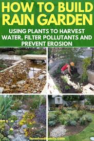 Construisez Votre Propre Jardin De Pluie In 2020 Rain Garden Design Rain Garden Water Garden