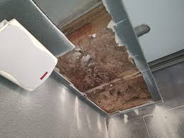 Our fully certified pest controller offers a full range of commercial pest elimination services at a reasonable cost. Organic Pest Control Home Inspector Meadowbrook 108 Photos Facebook