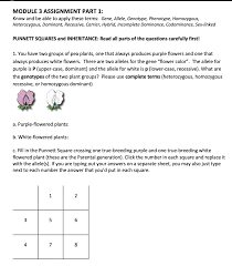 Some of the worksheets displayed are punnett squares answer key, incomplete and codominance work name, codominantincomplete dominance practice work, punnett square cheat, punnett square work, punnett squares dihybrid crosses, spongebob loves growing flowers for his pal sandy. How To Do Codominance Punnett Squares