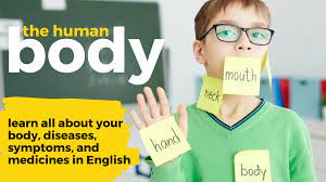 6 lessons in human lifestyle: The Ultimate English Guide To Body Parts And Health Vocabulary Prepeng Learn English Online Aprender Ingles