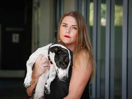 We hope everyone has a safe & happy holiday! Dog Owner Cat Tatam Left With Large Vet Bill After Pet Attacked By Foster Dog Learning Costs Won T Be Covered By Paws Darwin Insurance As All Liability Is On Foster Carers