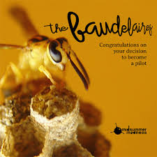 We did not find results for: Thirteen Big Star The Baudelaires Midsummer Madness