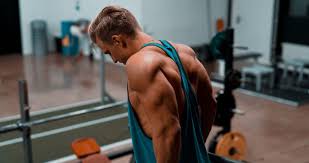 The main characteristic of gym machines is that most of them are explicitly designed to work with specific muscle groups in your body. Gym Vests For Men A Guide On Everything You Need To Know