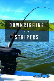 Downrigging For Stripers Fishaholics