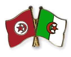 Ce qu'ils demandaient avec une remarquable obstination depuis des lustres est. Pin S De L Amitie Drapeaux Tunisie Algerie Flags