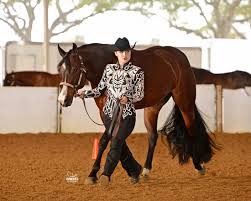 First set of circuit champions named at Florida Gold Coast