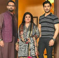 Image result for hina dilpazeer