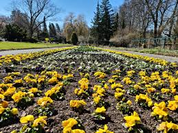 We did not find results for: File Wechselfloor In Botanischer Garten Hof 20200406 06 Jpg Wikimedia Commons