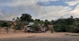 Food forest farm, ipoh, perak. A Mini Food Forest Model For Food Security In Malaysia Langit Collective