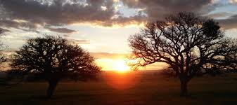 Image result for dusk evening with silent